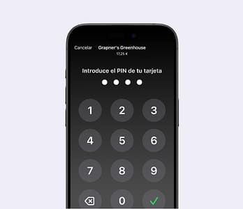 Secure PIN transactions
